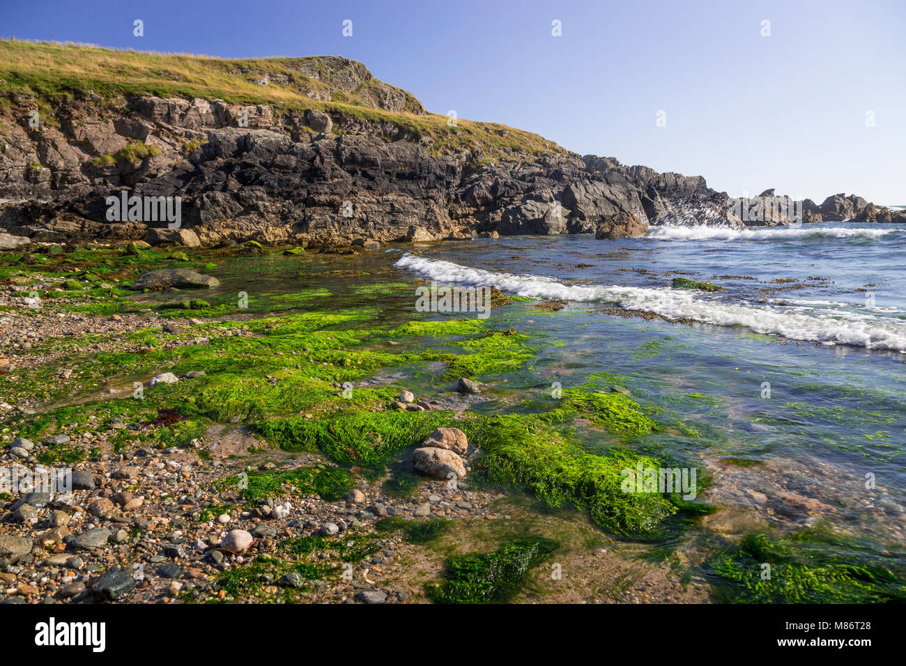 La spiaggia di Porth Trecastle, Anglesey, Galles del Nord costa su una soleggiata giornata estiva Foto Stock