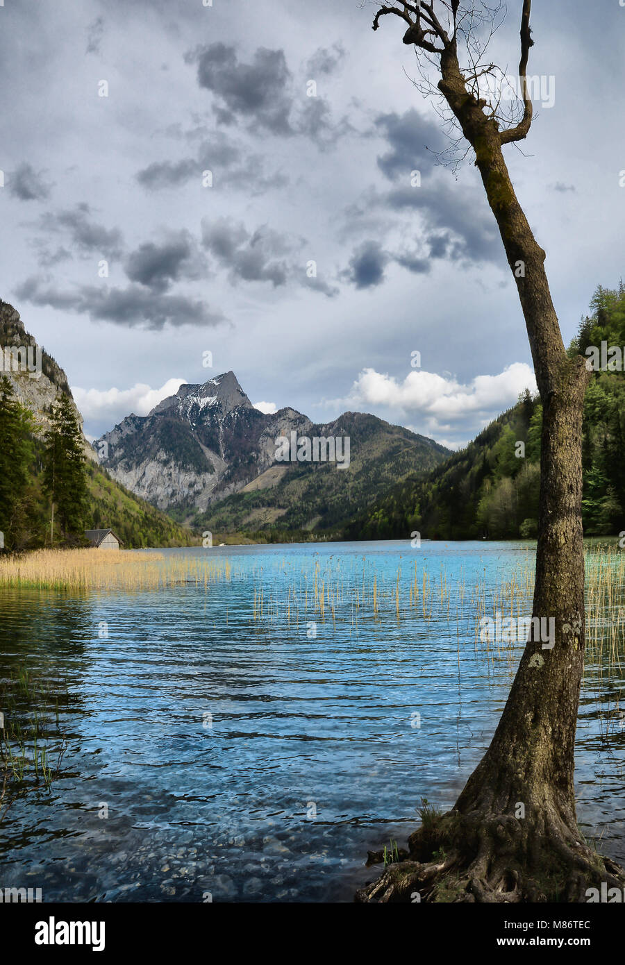 L'idilliaco lago di Leopoldstein nella Stiria, Austria. Foto Stock