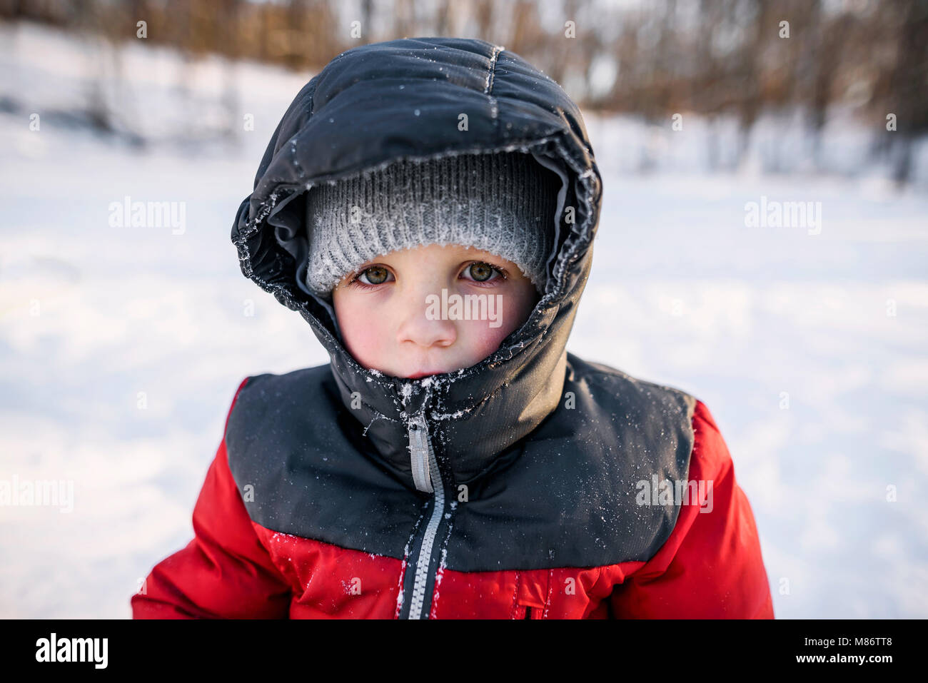 Ritratto di un ragazzo in piedi nella neve Foto Stock