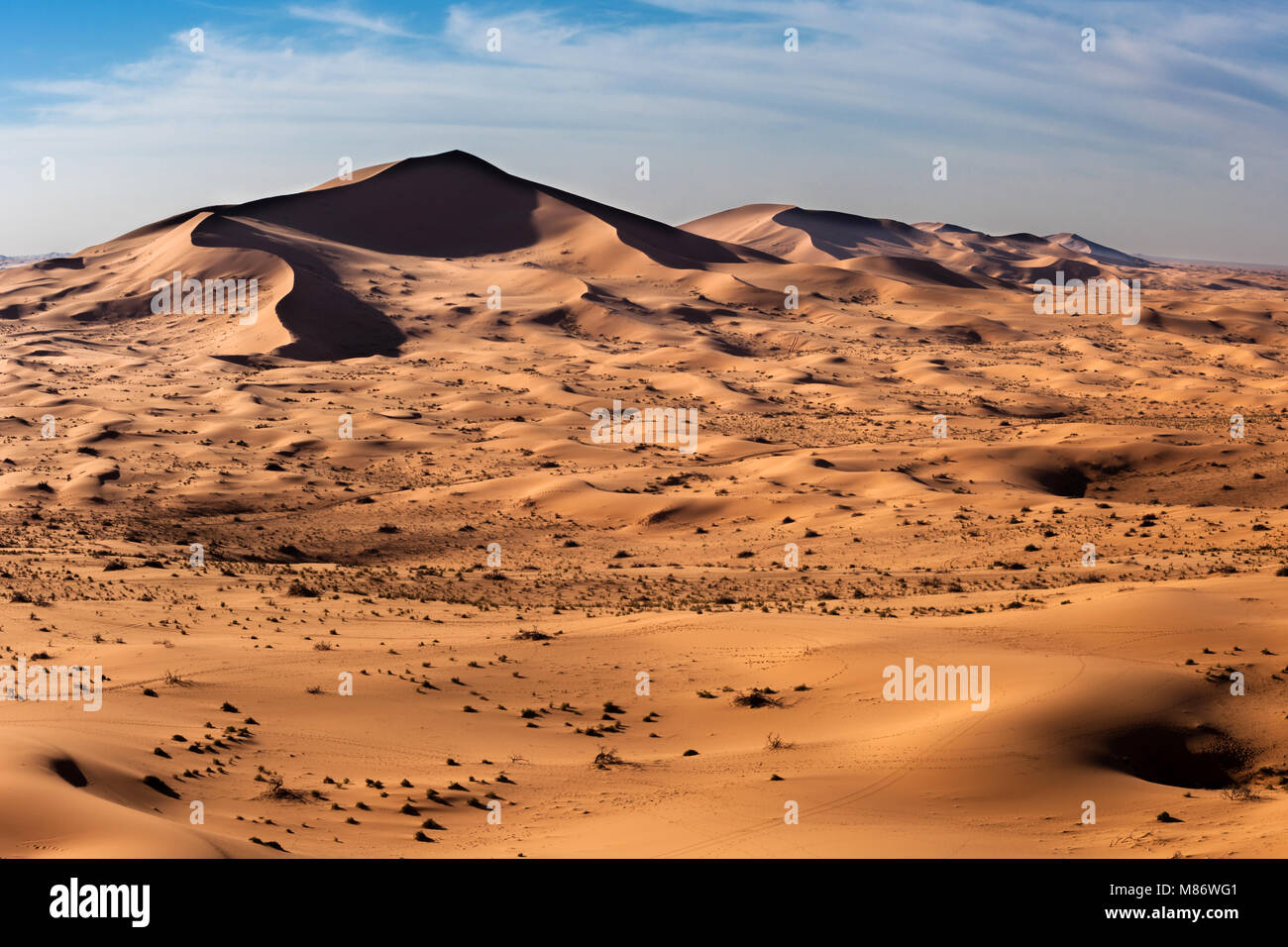 Il paesaggio del deserto, Riyadh, Arabia Saudita Foto Stock