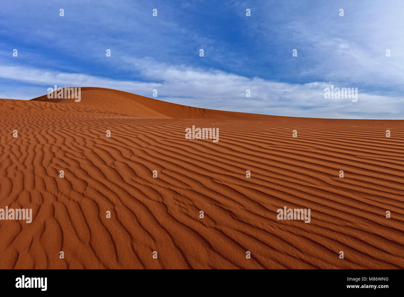 Dune di sabbia nel deserto, Riyadh, Arabia Saudita Foto Stock