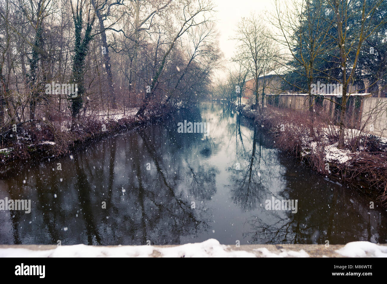 Parco Monza nella neve, Lombardia, Italia Foto Stock