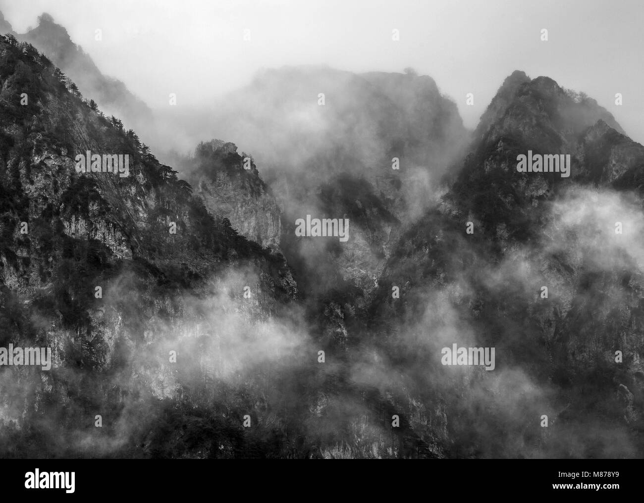 Pioggia sulla Camosciara. Parco Nazionale d'Abruzzo, Lazio e Molise, Italia, Europa Foto Stock