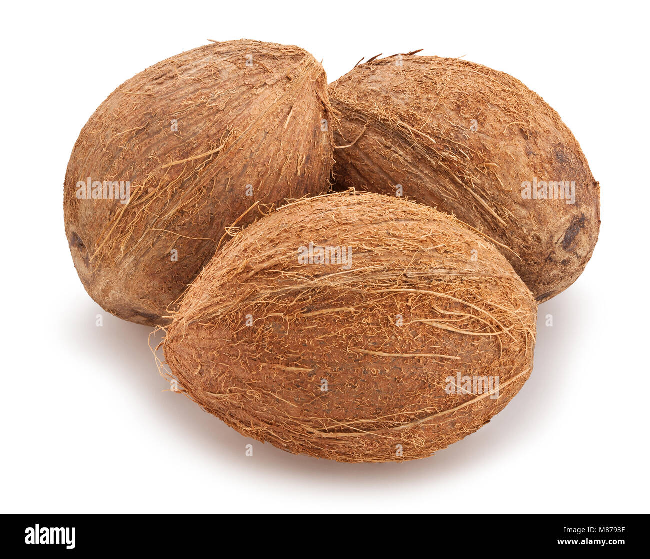 Percorso di cocco isolato Foto Stock