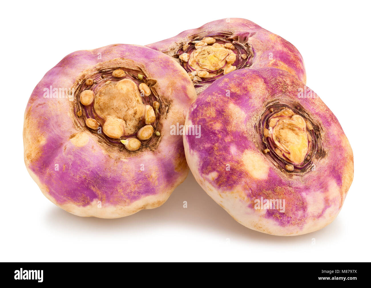 Svedese rapa percorso isolato Foto Stock