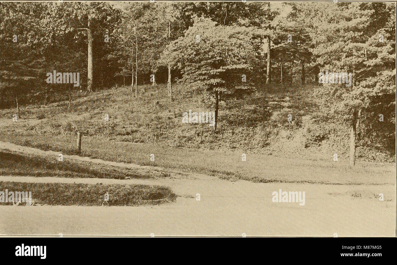 Questo documento del 1921 fornisce una panoramica del termine estivo presso la East Carolina Teachers Training School, che descrive in dettaglio il curriculum, i metodi di insegnamento e le attività educative offerte ai tirocinanti degli insegnanti durante quel periodo. Foto Stock