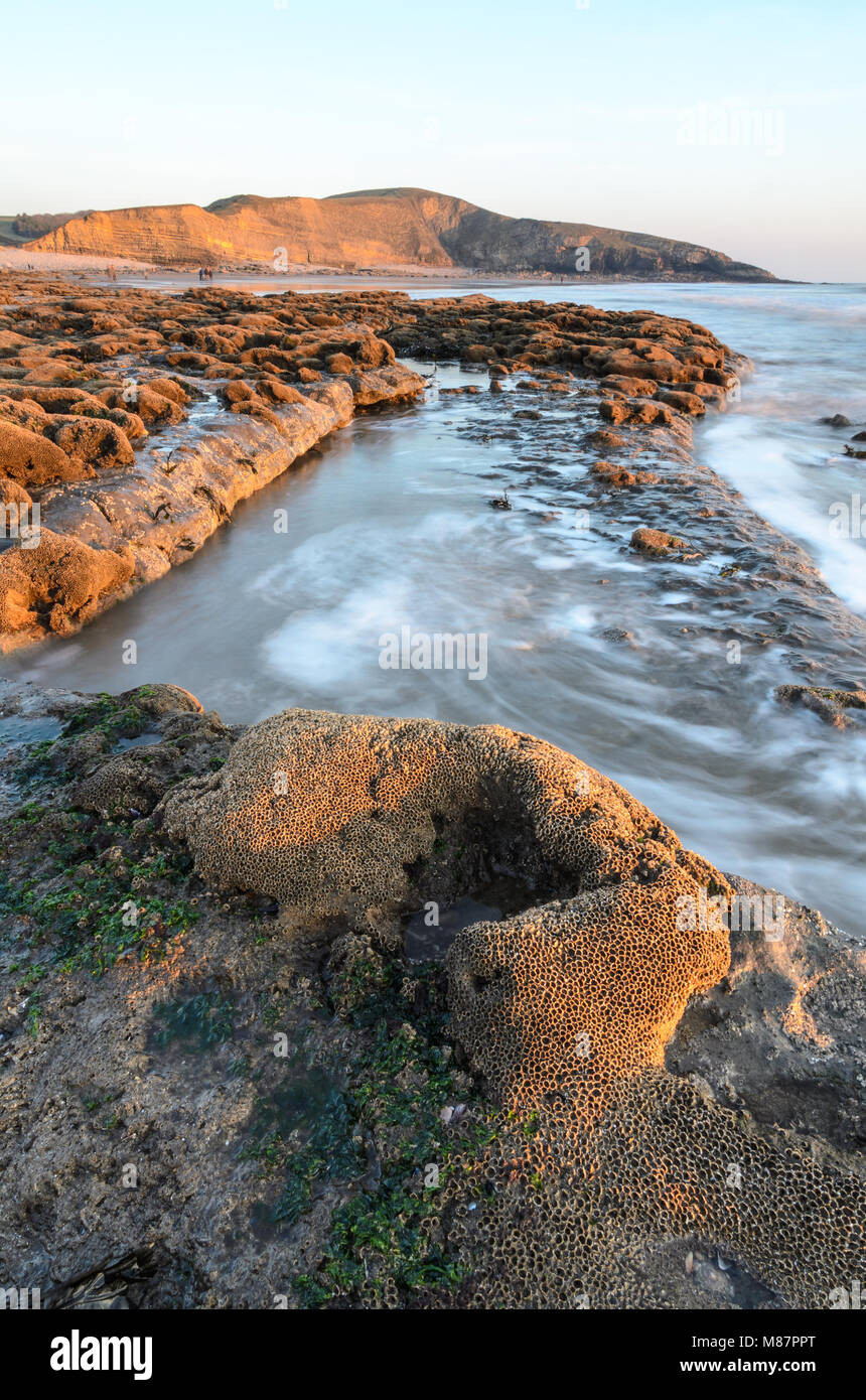 Onde lungo la costa rocciosa del Dunraven Bay nei pressi di Southerndown nel Galles del Sud, Inghilterra Foto Stock