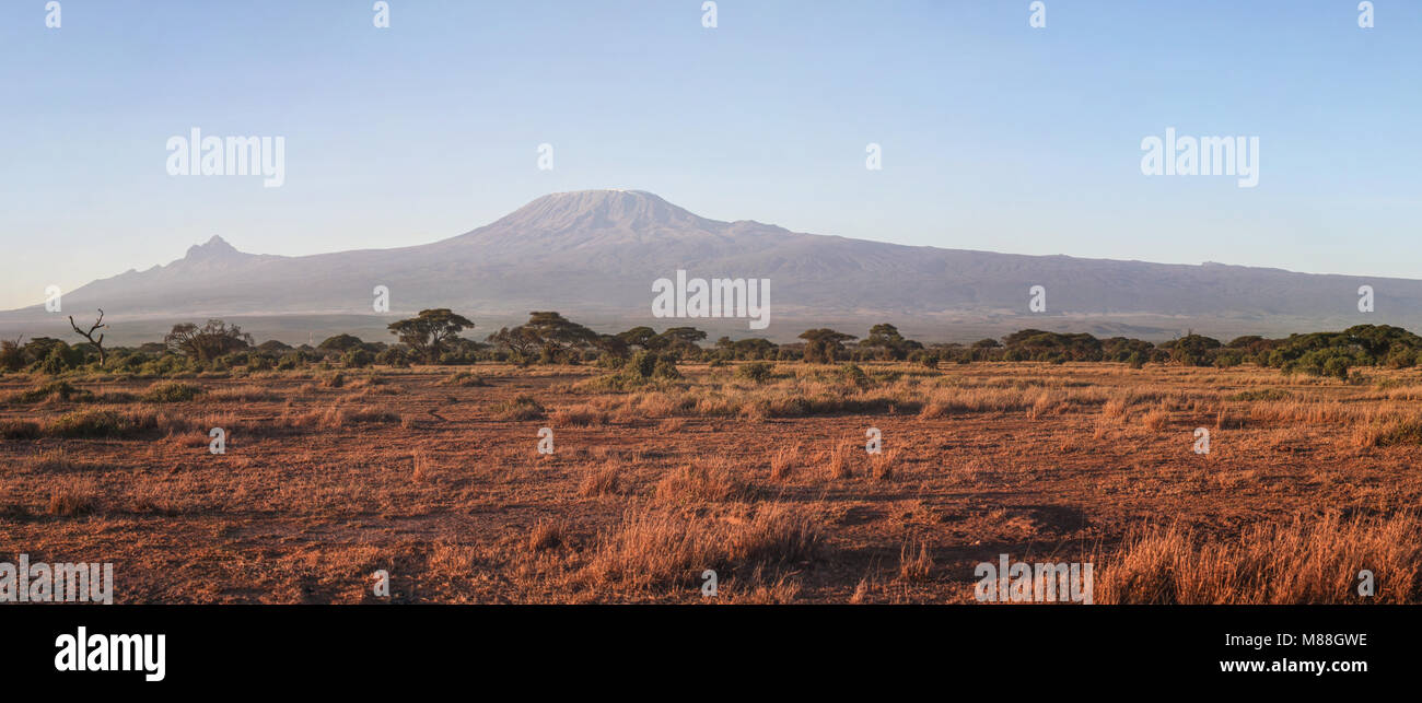 Amboseli National Park panorama con il monte Kilimanjaro in background nella luce del mattino. Foto Stock