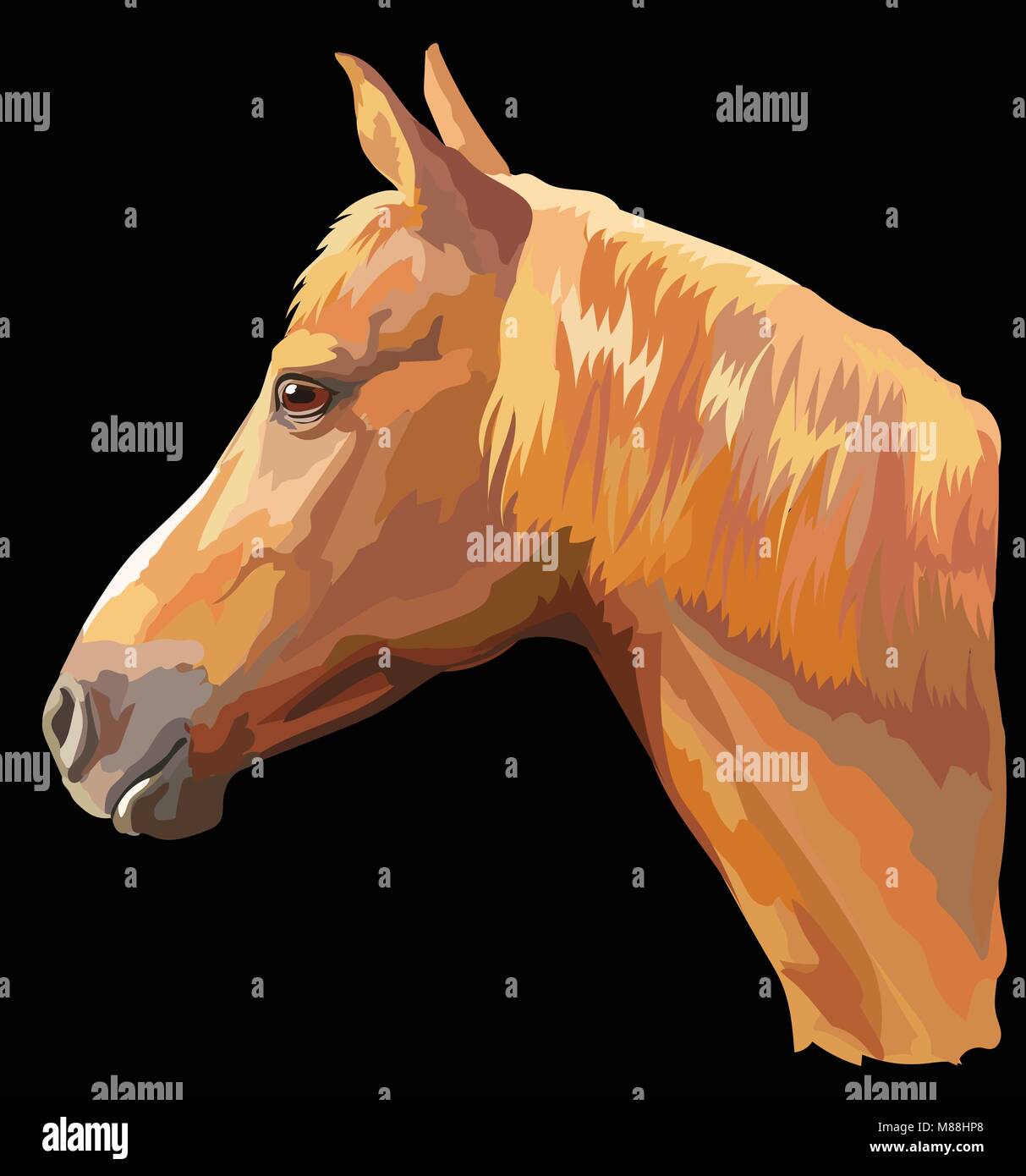 Ritratto colorato di sorrel cavallo. Testa di cavallo con lunga criniera in profilo isolato illustrazione vettoriale su sfondo nero Illustrazione Vettoriale