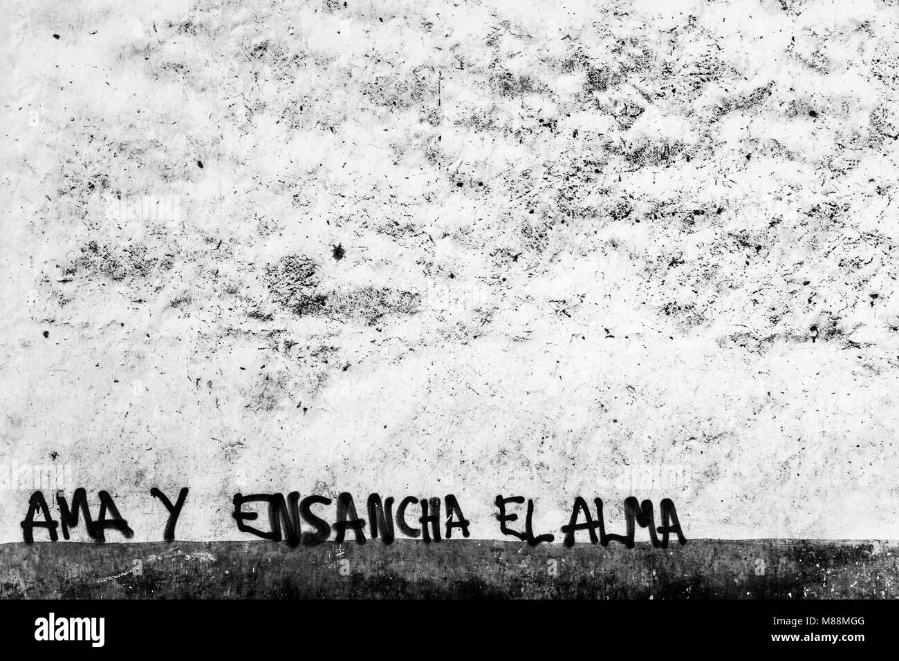 muro con versetto in graffiti in spagnolo Foto Stock