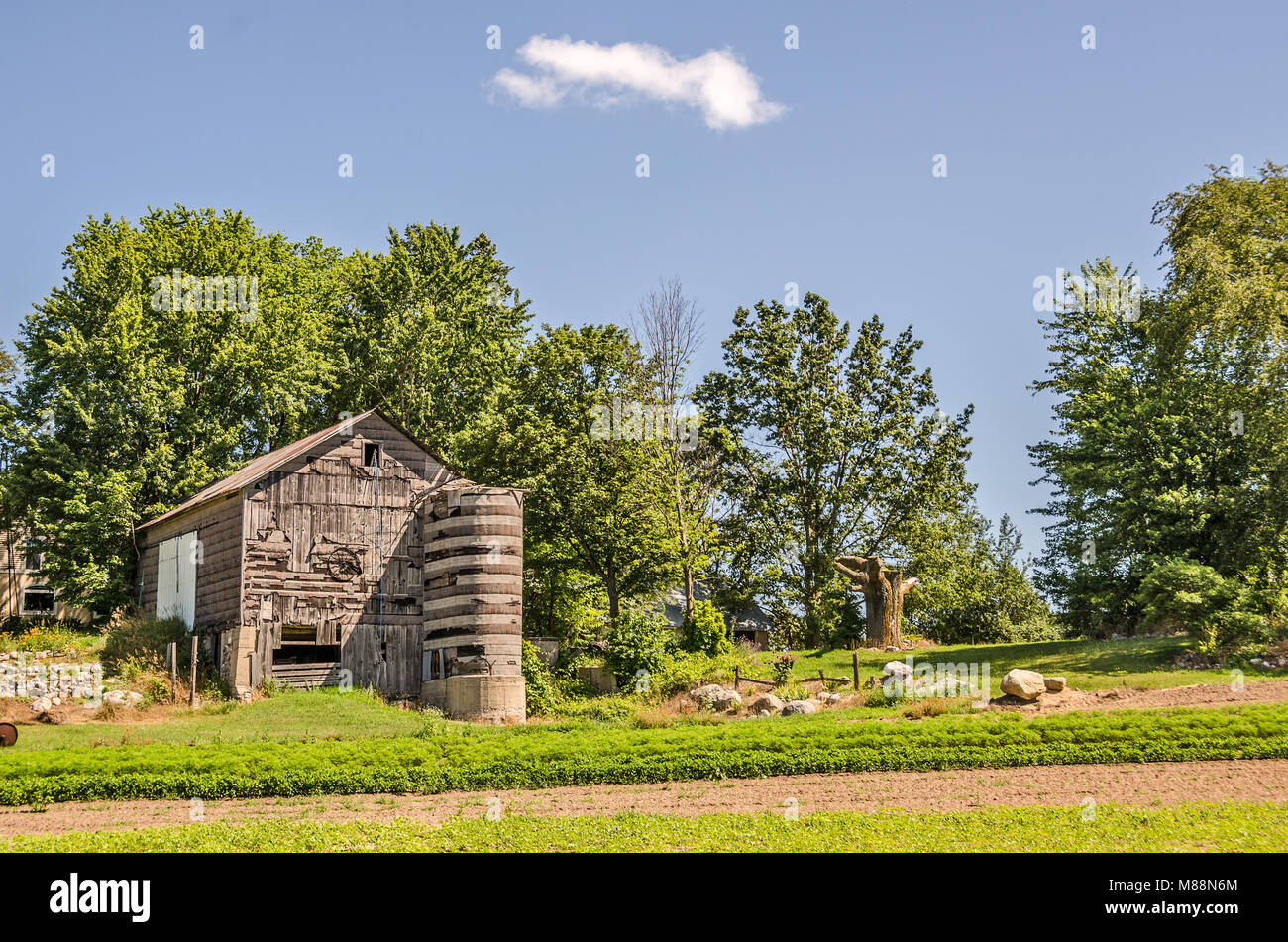 Weathered granaio e silo contro alberi con belle foglie verdi ed un cielo blu Foto Stock