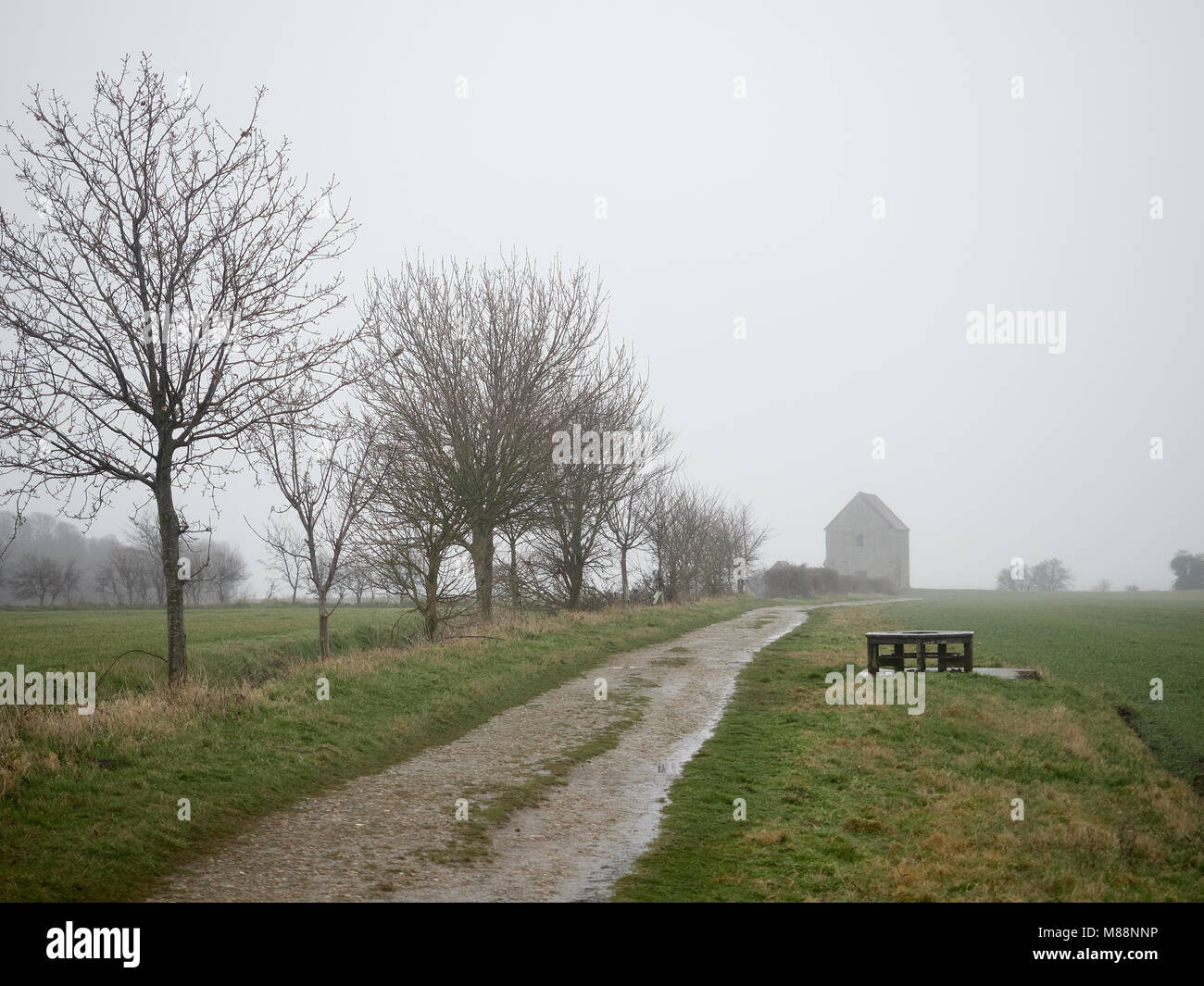 Pubblico alberata sentiero attraverso i campi in Essex su un panno umido e nebbioso giorno con panca su lato e la costruzione di pietra in background. N. persone e liberare spazio Foto Stock