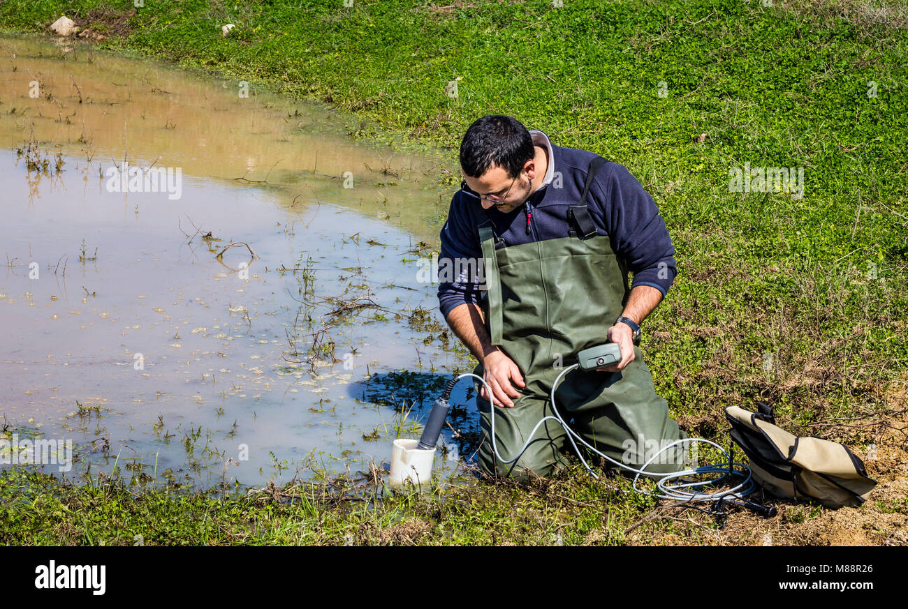 Scienziato Ambientale di misurazione della qualità dell'acqua in una zona umida utilizzando una sonda multiparametro Foto Stock