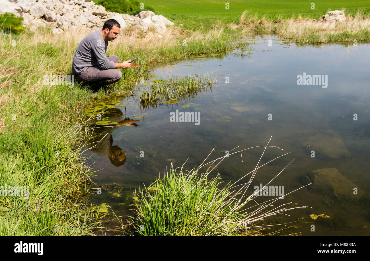 Scienziato Ambientale di misurazione della qualità dell'acqua in una zona umida utilizzando una sonda multiparametro Foto Stock