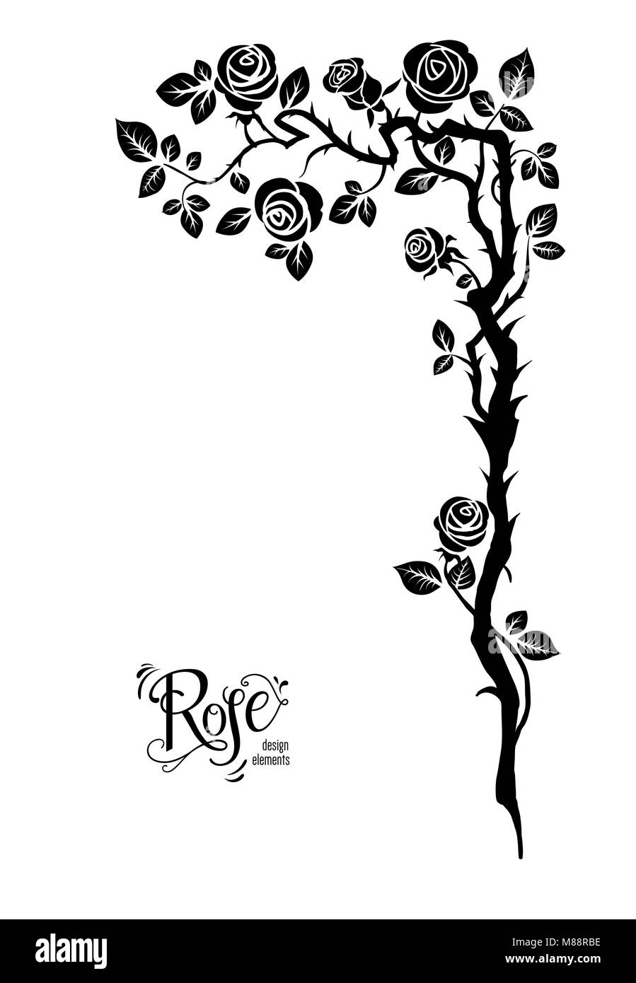 Rose ramo nero Illustrazione Vettoriale