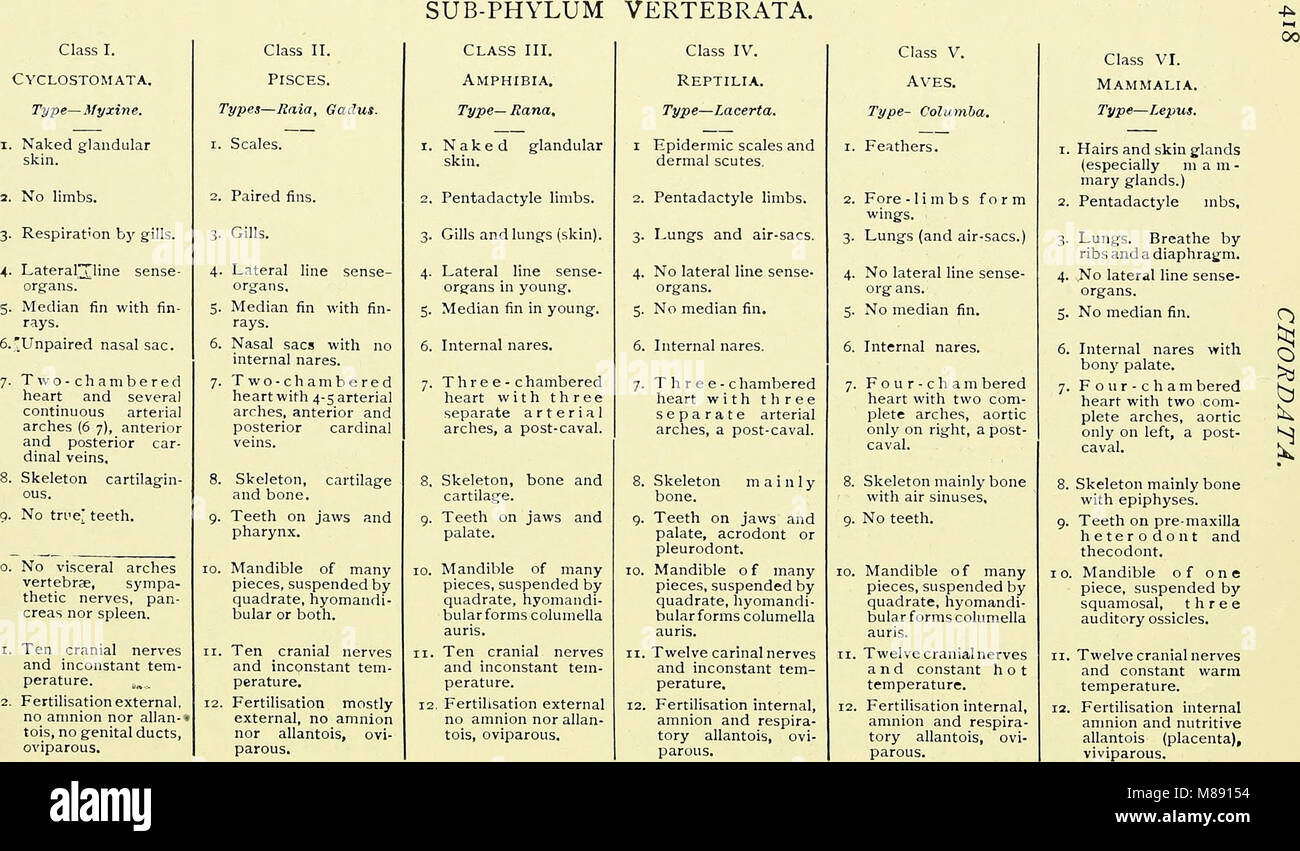 Il "Libro di testo elementare di Zoologia" (1901) fornisce una comprensione fondamentale della zoologia, che copre la classificazione degli animali, la fisiologia, il comportamento e gli habitat. Serve come risorsa introduttiva per gli studenti di biologia e scienze naturali. Foto Stock