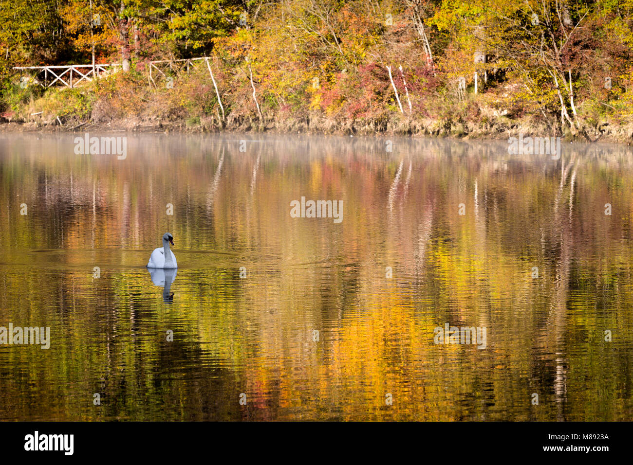 Riflessi nel lago, Pievebovigliana village, Macerata distretto, Marche, Italia Foto Stock