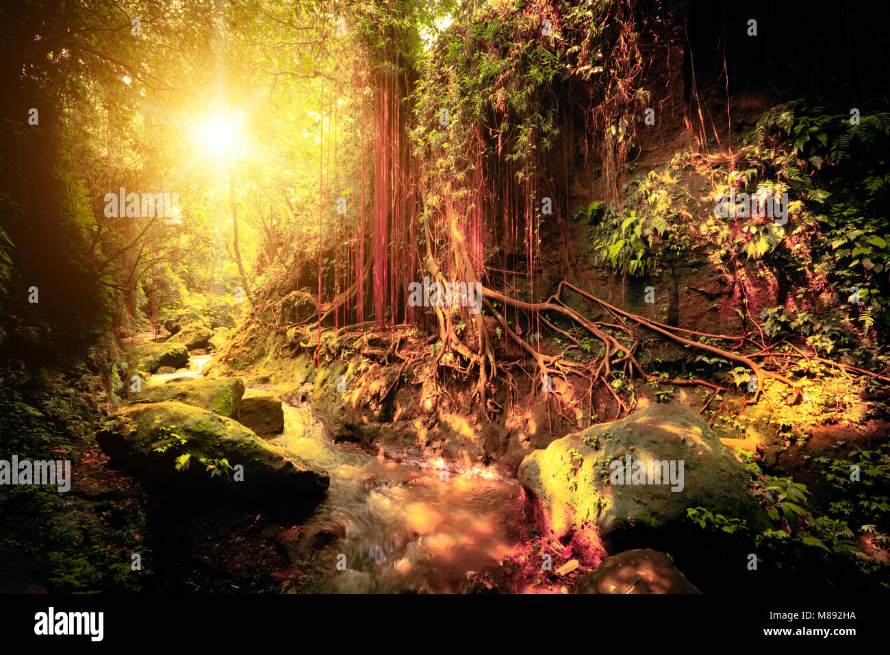 Colori surreali della fantasia paesaggio mistico al tropical forest di muschio con sorprendente giungla piante. Concetto di natura misteriosa e fiaba backgro Foto Stock