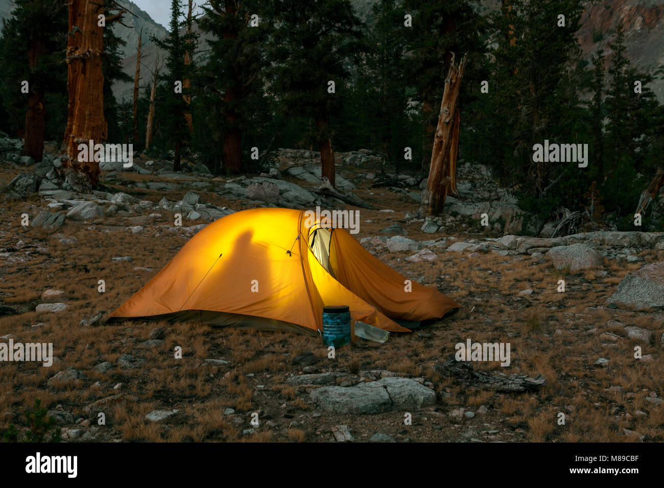 CA03322-00...CALIFORNIA - Campeggio con orso prova contenitore esterno tenda vicino Rae Lakess in Kings Canyon National Park. Foto Stock