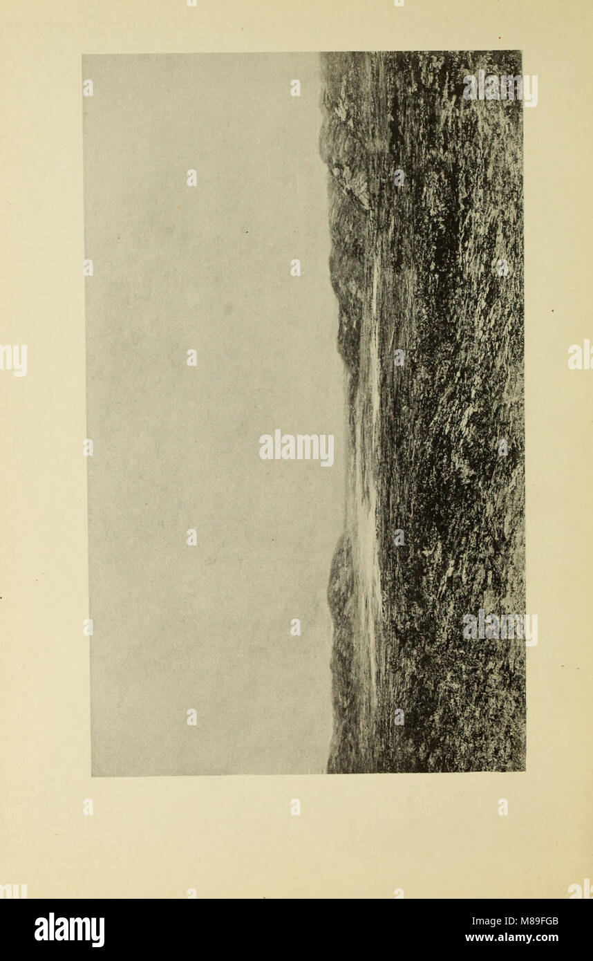 Cinquanta-otto dipinti da Omero D. Martin (1913) (14801215493) Foto Stock