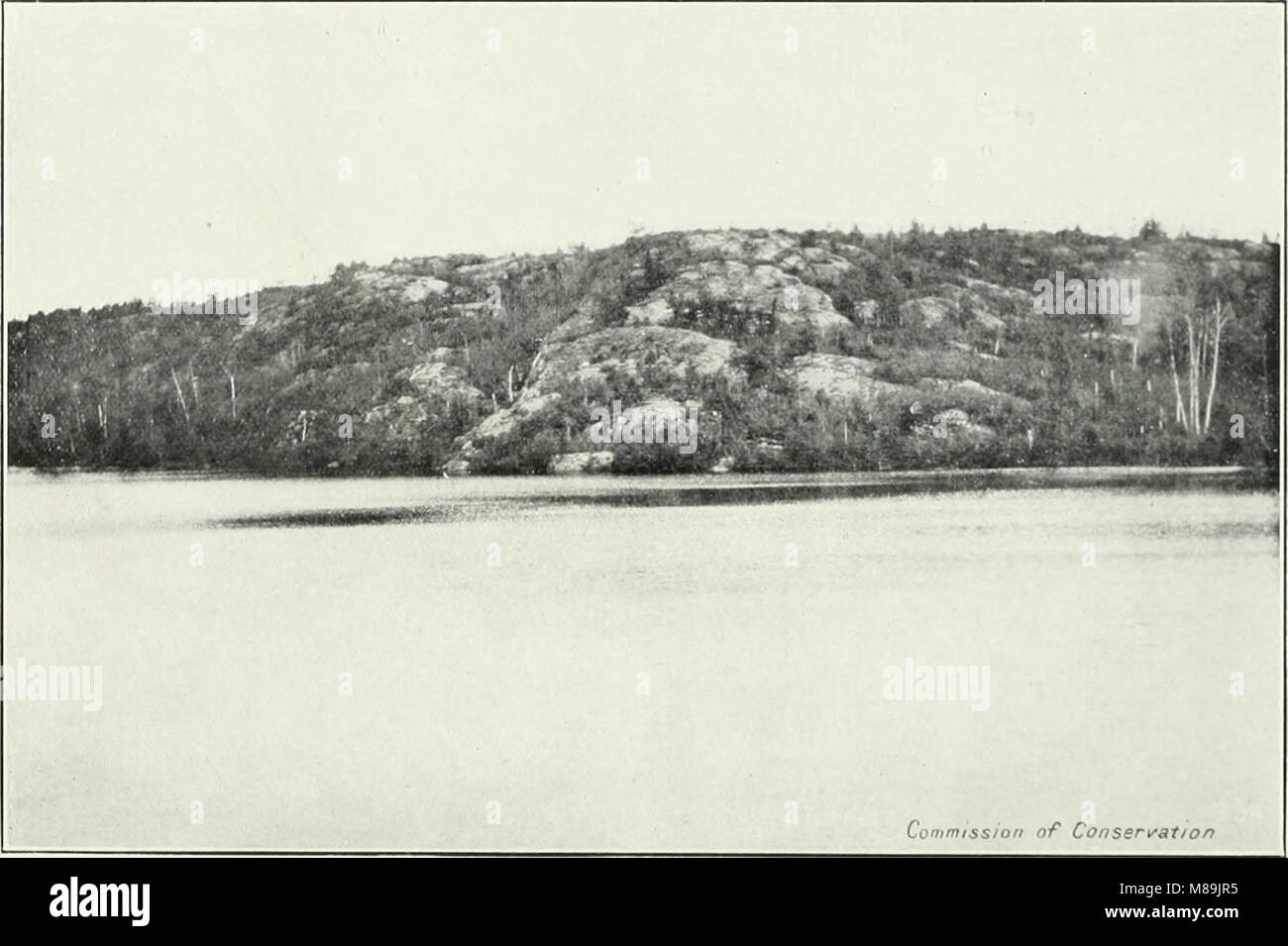 La protezione delle foreste in Canada, 1912-1914, dalla Clyde Leavitt (1913) (14594272637) Foto Stock