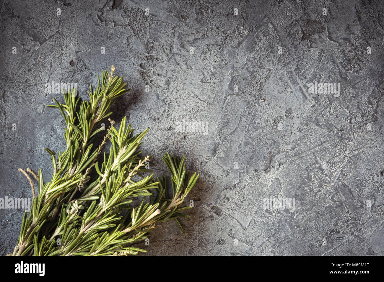 Il ramo mazzetto di rosmarino fresco concetto alimentare foraggio raccolto spezie Erbe per la medicina e la cottura su uno sfondo grigio scuro chiave chiave di basso Foto Stock