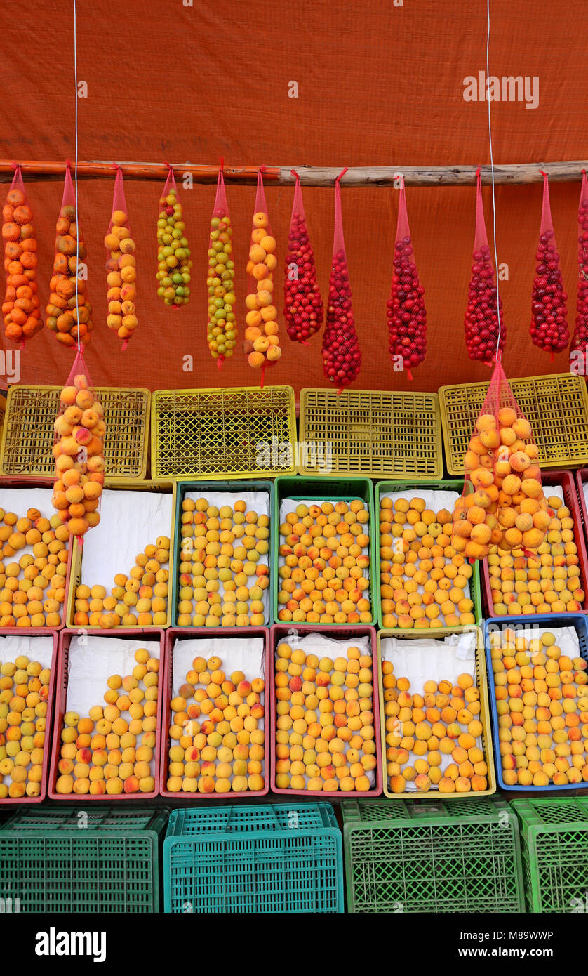 Albicocche fresche in vendita presso il locale mercato degli agricoltori Foto Stock