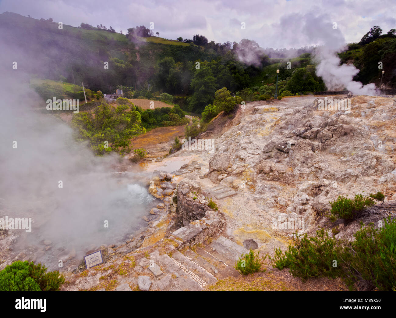 Caldeiras das Furnas, sorgenti calde di Furnas, isola Sao Miguel, Azzorre, Portogallo Foto Stock