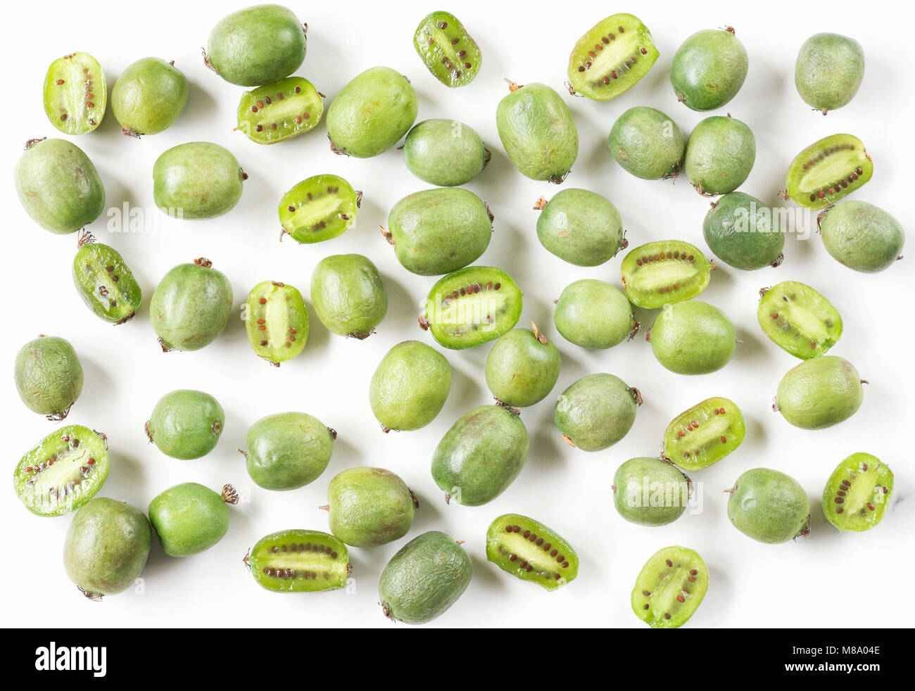 Actinidia arguta. Bacche di Kiwi su uno sfondo bianco. Foto Stock