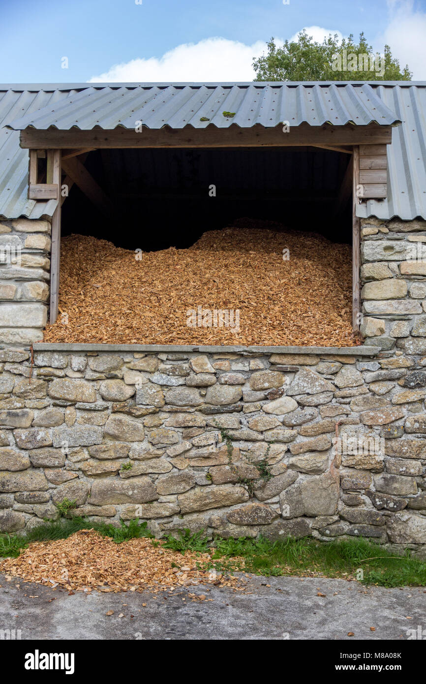 Memorizzazione di trucioli di legno per una biomassa impianto di riscaldamento in una fattoria in Cornovaglia Foto Stock