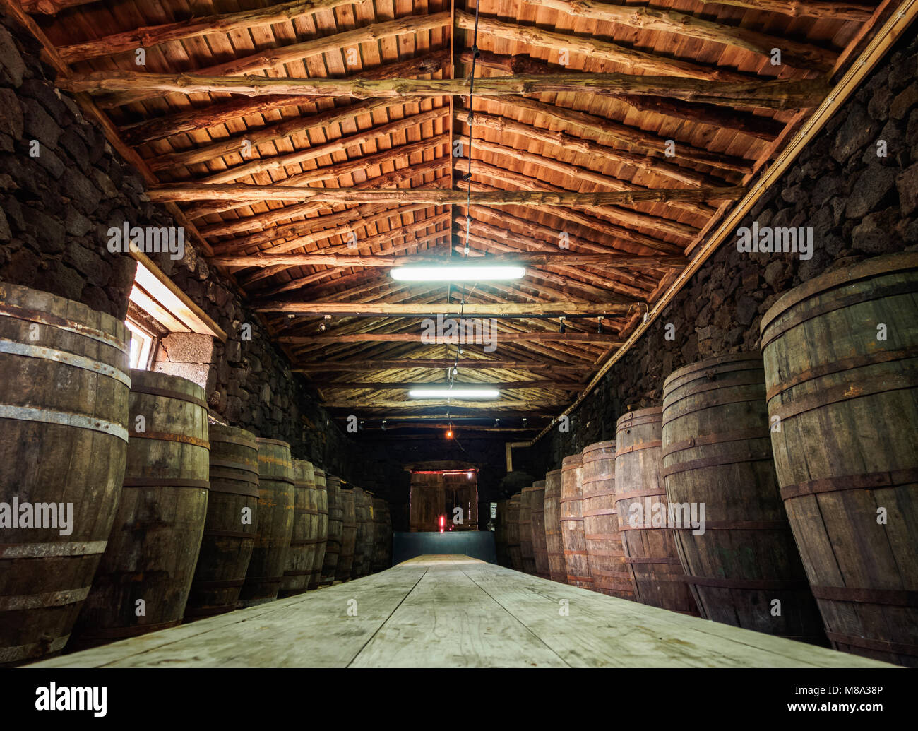 Pico paesaggio di vigneti e la cultura del centro di interpretazione, interno, Lajido, isola Pico, Azzorre, Portogallo Foto Stock