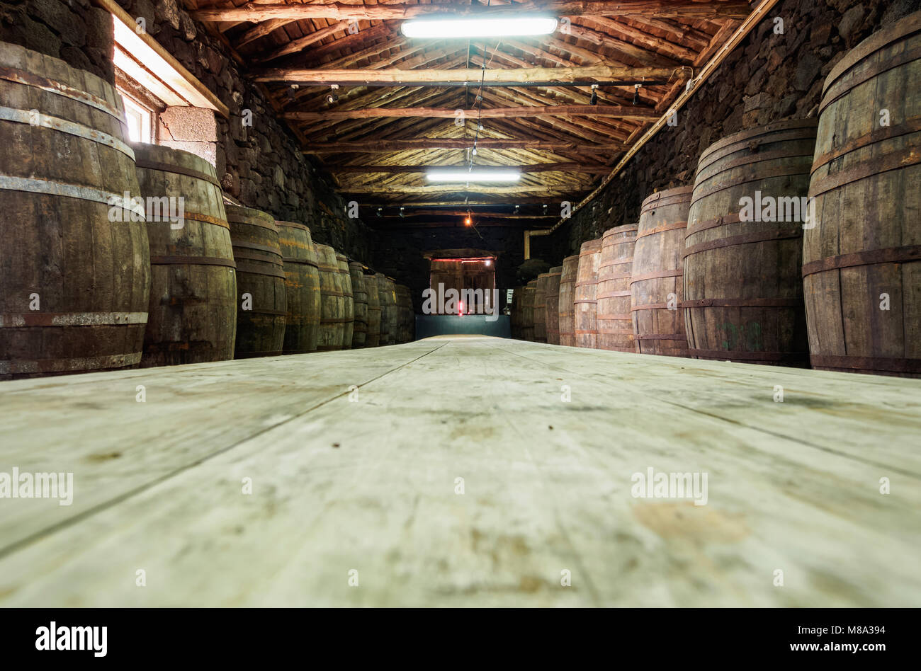 Pico paesaggio di vigneti e la cultura del centro di interpretazione, interno, Lajido, isola Pico, Azzorre, Portogallo Foto Stock