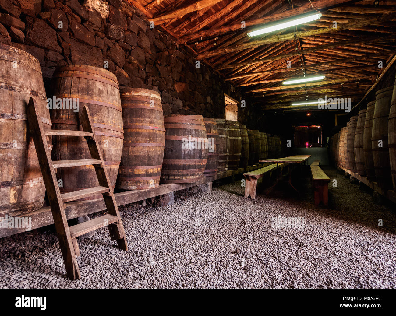Pico paesaggio di vigneti e la cultura del centro di interpretazione, interno, Lajido, isola Pico, Azzorre, Portogallo Foto Stock
