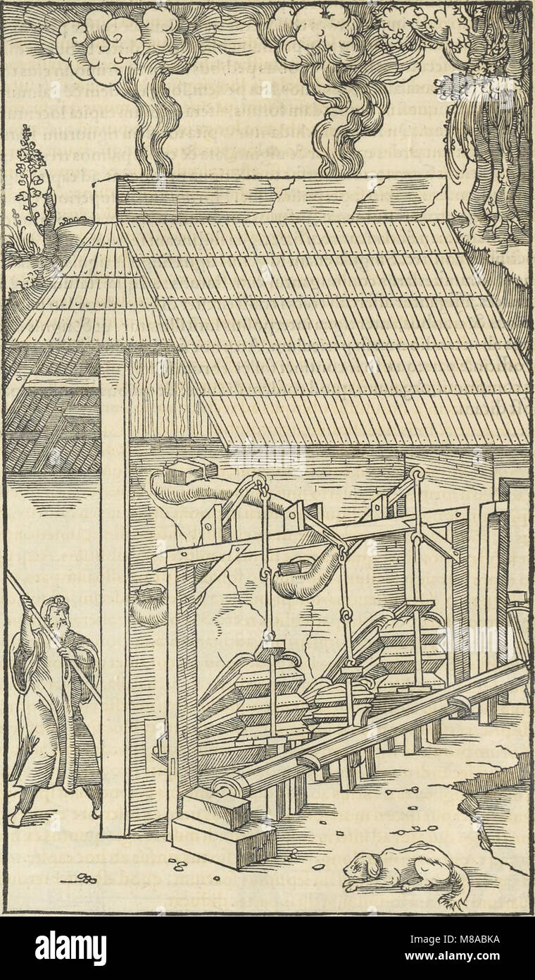Georgii Agricolae De re metallica - libri XII. Quibus officia, instrumenta, machinae, ac omnia deni(que) Annuncio metallicam spectantia, non modo luculentissimè describuntur, sed e per le effigi, suis (14781294712) Foto Stock