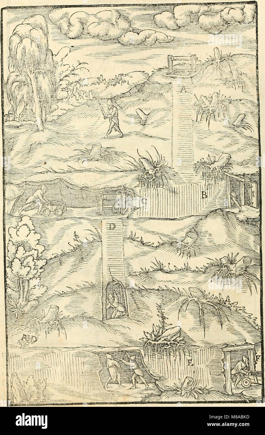 Georgii Agricolae De re metallica libri XII. qvibus officia, instrumenta, machinae, ac omnia deni ad metallicam spectantia, non modo luculentissimè describuntur, sed e per le effigi, suis locis (14593187260) Foto Stock