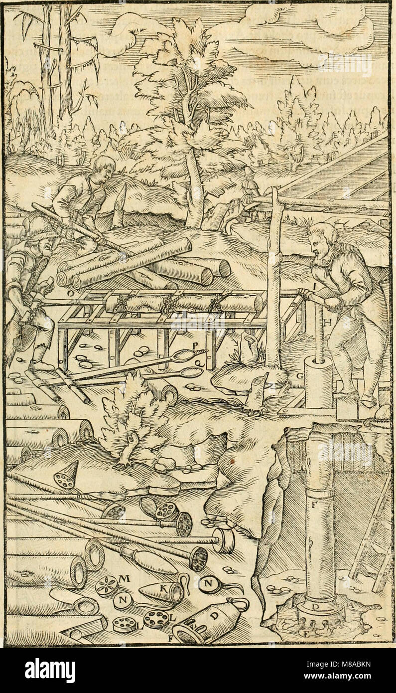 Georgii Agricolae De re metallica libri XII. qvibus officia, instrumenta, machinae, ac omnia deni ad metallicam spectantia, non modo luculentissimè describuntur, sed e per le effigi, suis locis (14593341589) Foto Stock