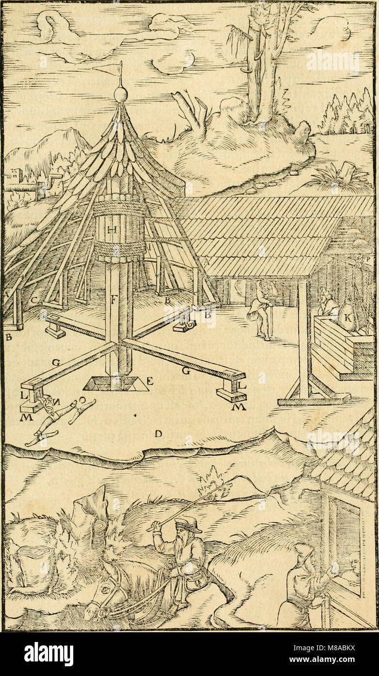 Georgii Agricolae De re metallica libri XII. qvibus officia, instrumenta, machinae, ac omnia deni ad metallicam spectantia, non modo luculentissimè describuntur, sed e per le effigi, suis locis (14593348128) Foto Stock