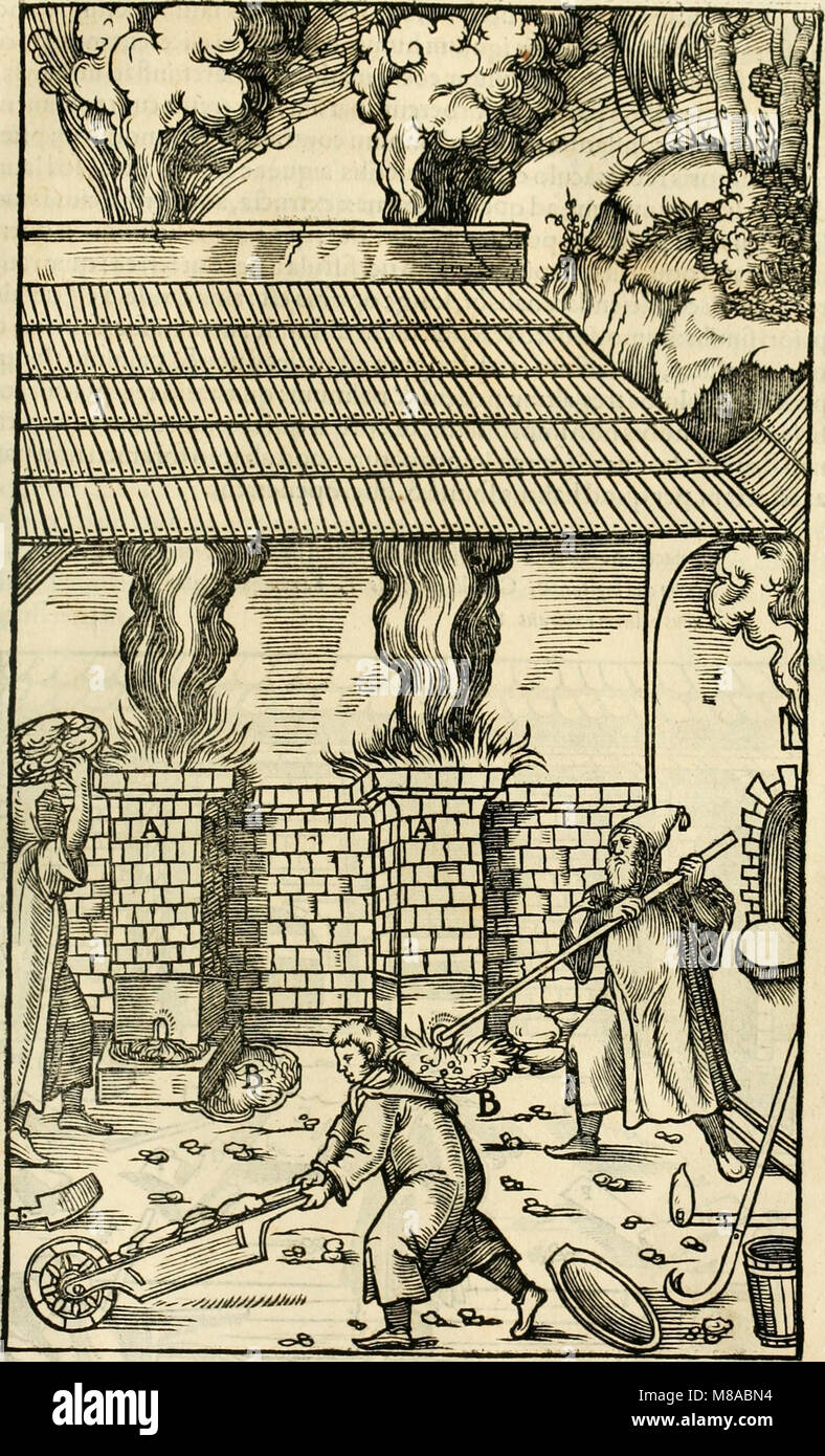 Georgii Agricolae De re metallica libri XII. qvibus officia, instrumenta, machinae, ac omnia deni ad metallicam spectantia, non modo luculentissimè describuntur, sed e per le effigi, suis locis (14777087341) Foto Stock