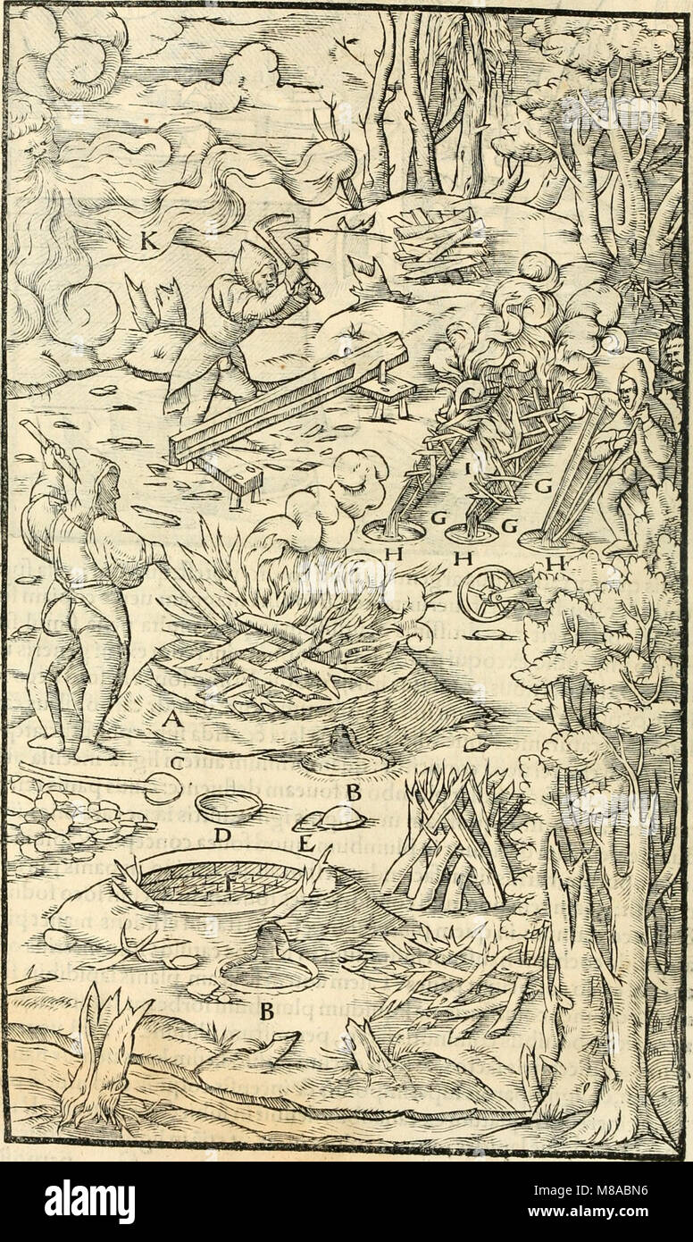 Georgii Agricolae De re metallica libri XII. qvibus officia, instrumenta, machinae, ac omnia deni ad metallicam spectantia, non modo luculentissimè describuntur, sed e per le effigi, suis locis (14777146721) Foto Stock