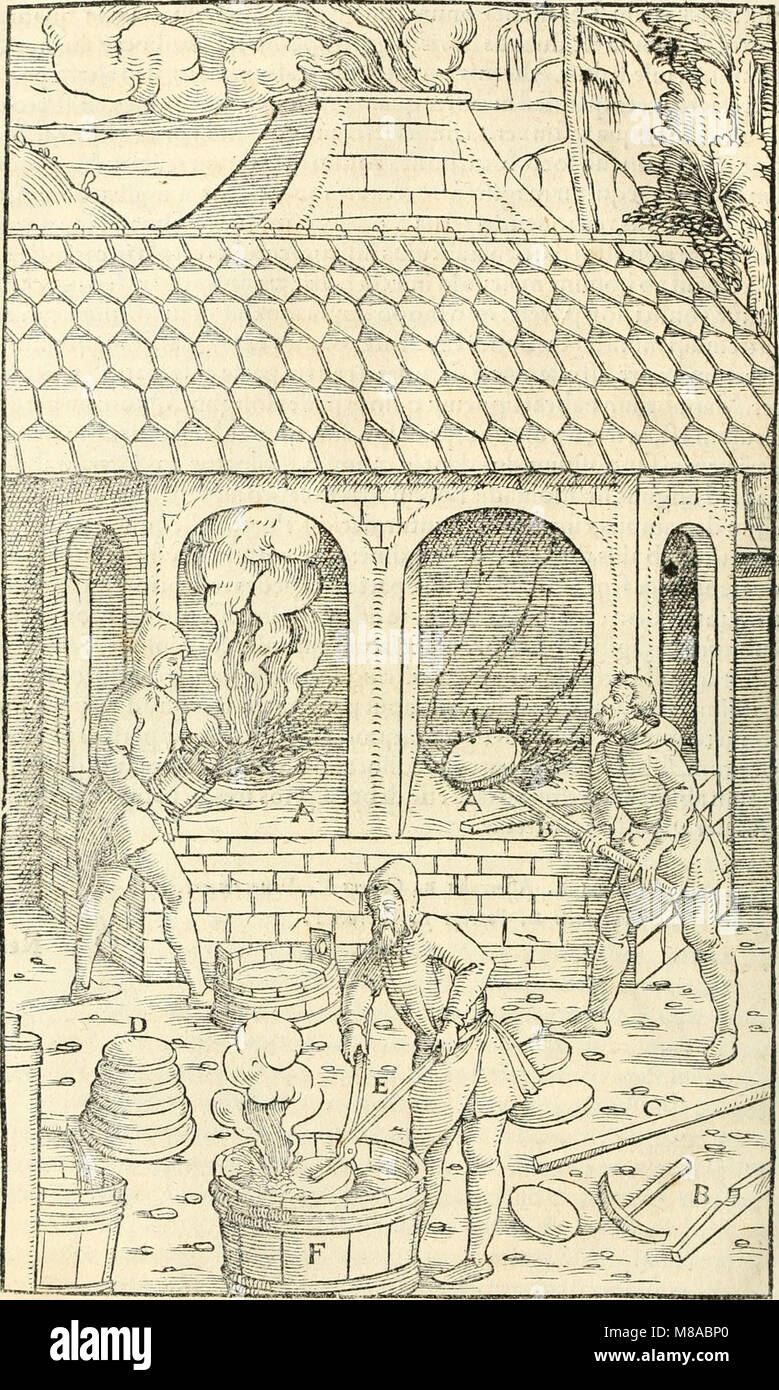 Georgii Agricolae De re metallica libri XII. qvibus officia, instrumenta, machinae, ac omnia deni ad metallicam spectantia, non modo luculentissimè describuntur, sed e per le effigi, suis locis (14780050212) Foto Stock