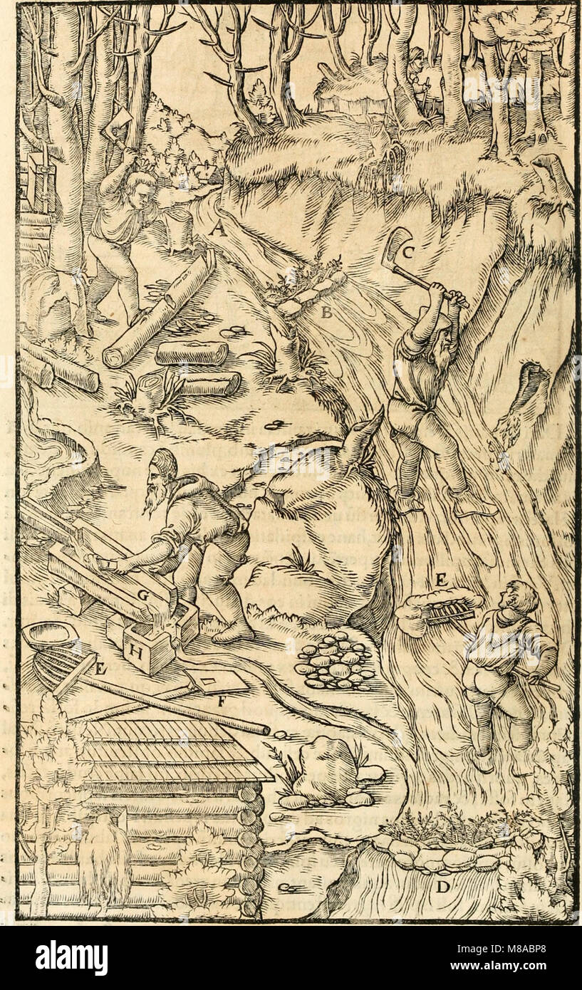 Georgii Agricolae De re metallica libri XII. qvibus officia, instrumenta, machinae, ac omnia deni ad metallicam spectantia, non modo luculentissimè describuntur, sed e per le effigi, suis locis (14780217805) Foto Stock