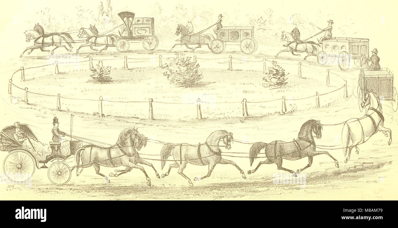 Mano-libro di equitazione e le abitudini e le malattie del cavallo e altri animali (1885) (14596690267) Foto Stock