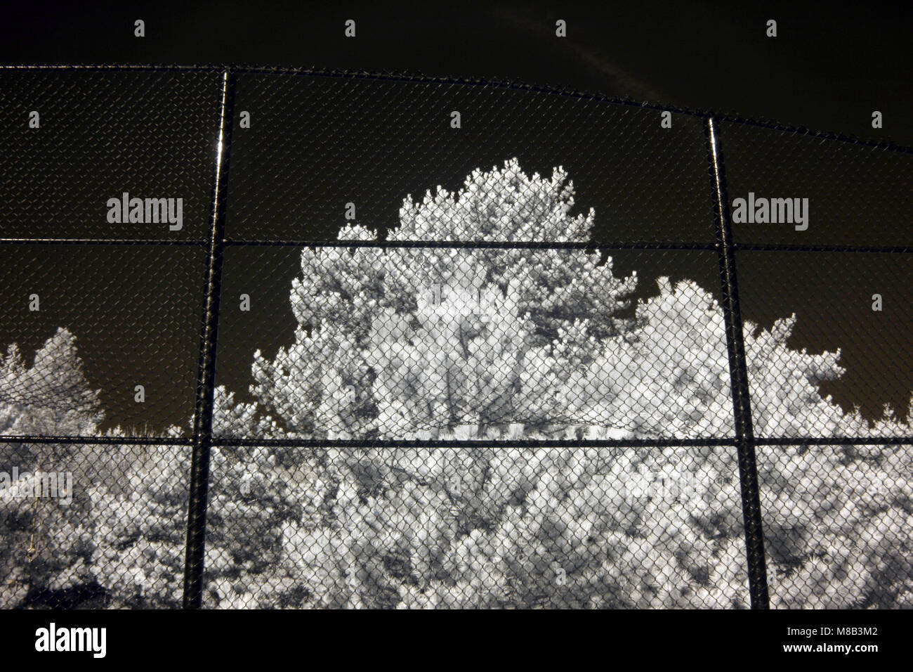 Immagine infrarossa di recinzione con tree tops in background Foto Stock