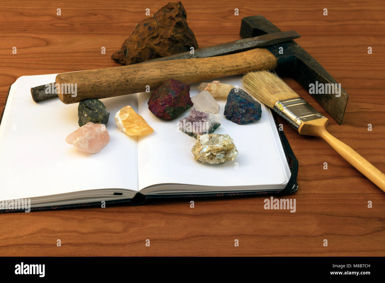 Studio di roccia, raccolta, STATI UNITI D'AMERICA, da James D Coppinger/Dembinsky Foto Assoc Foto Stock
