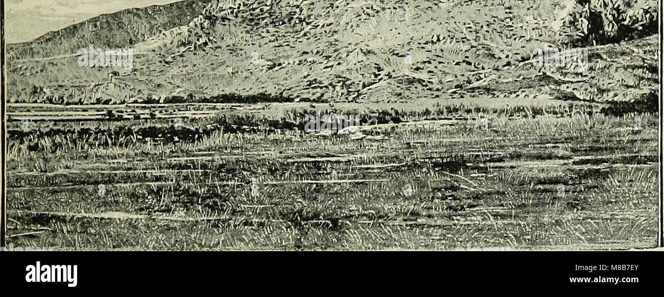 "History of Egypt, Chaldea, Syria, Babilonia e Assiria" (1903) offre una panoramica storica delle civiltà antiche di Egitto, Caldea, Siria, Babilonia e Assiria, focalizzandosi sulla cultura, la governance e i progressi. Foto Stock