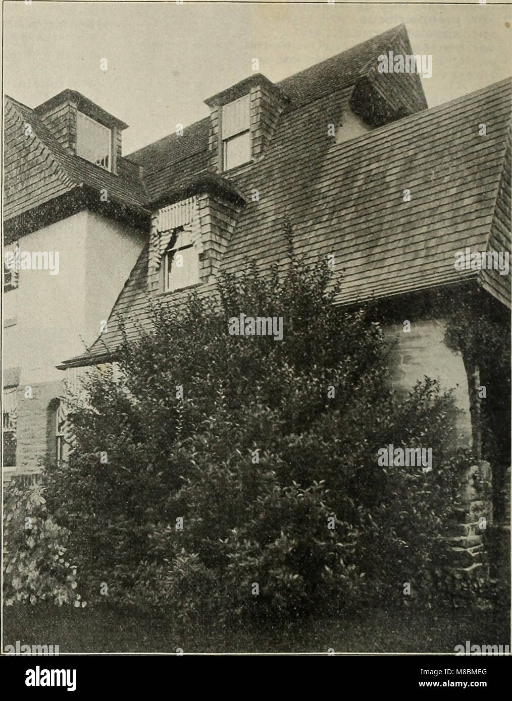 Catalogo descrittivo - alberi ornamentali, arbusti, vigne, sempreverdi, Hardy perennials e frutta (1902) (20572112991) Foto Stock