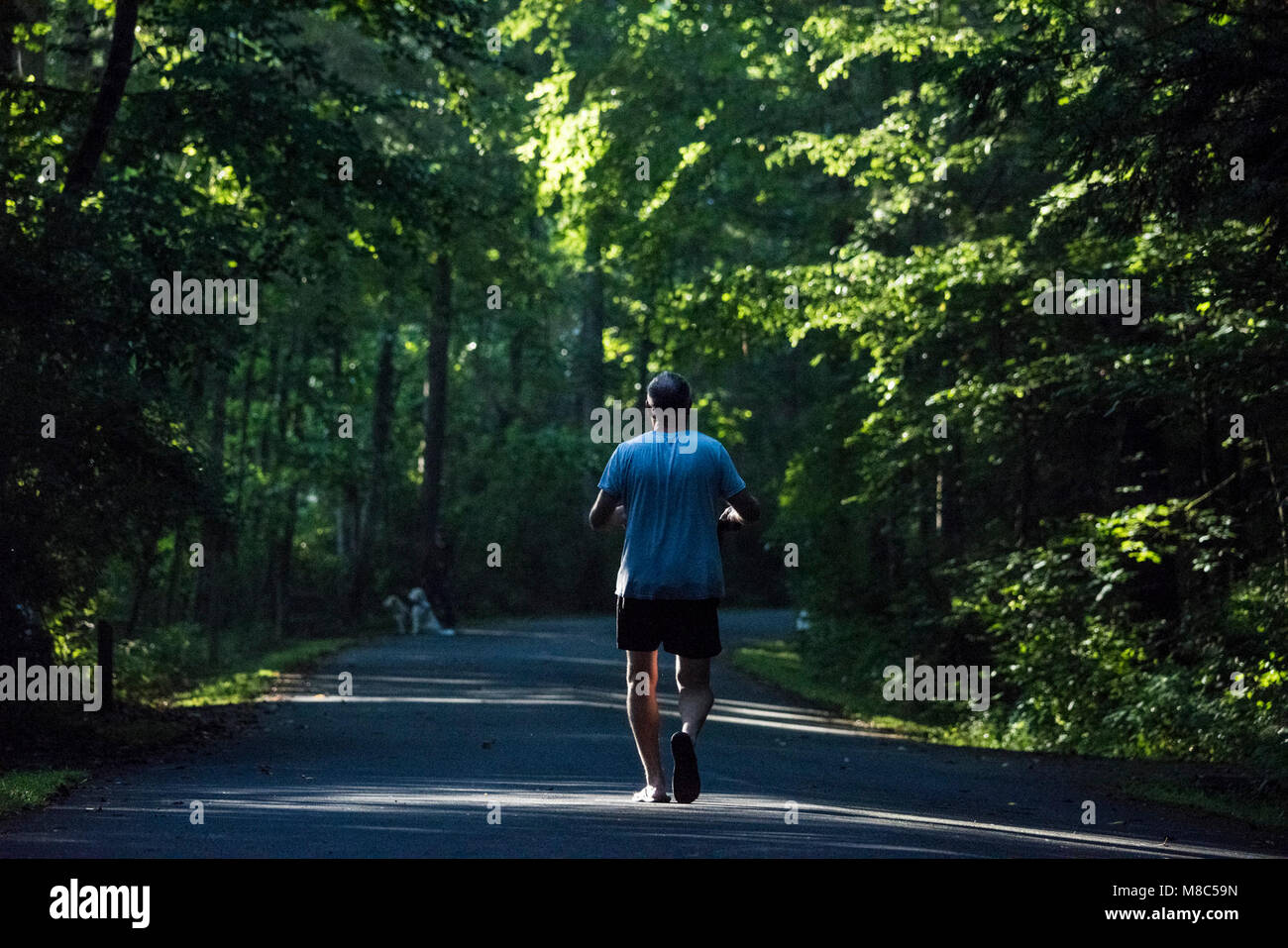 Un uomo cammina la mattina presto nel fiume Davidson Campeggio, Pisgah National Forest, NC. Foto Stock
