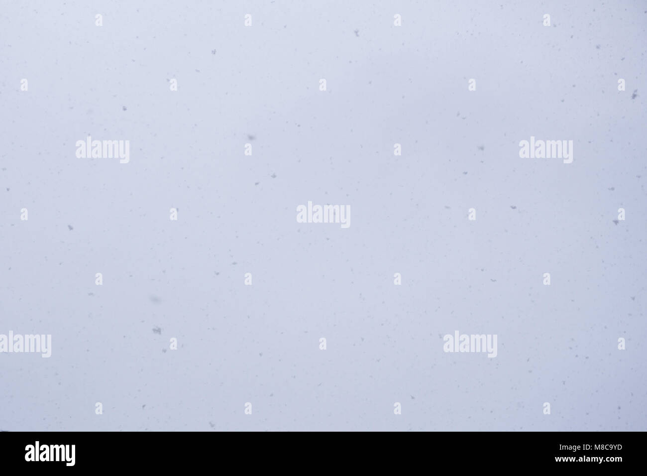 La caduta di neve, ghiaccio brina, neve congelate, Foto Stock