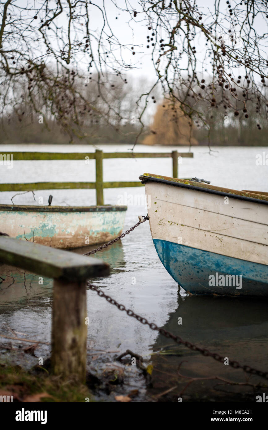 Sycamore 'Monkey palle' sul lago con barche e panca Foto Stock