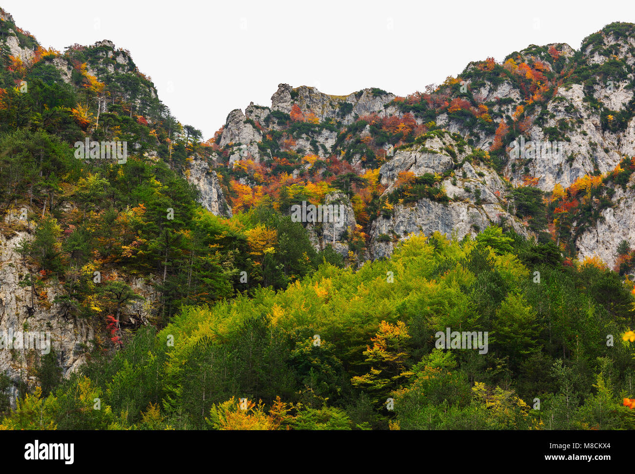 Camosciara, paesaggio autunnale. Abruzzo Foto Stock